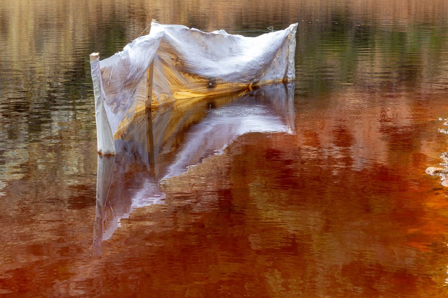 03.Roberto Ghezzi,ANADYOMENE Installazione per Naturografia, Laghetto delle Conche, Rio (LI), Isola d’Elba 2024, ph. Luca Baldassari 